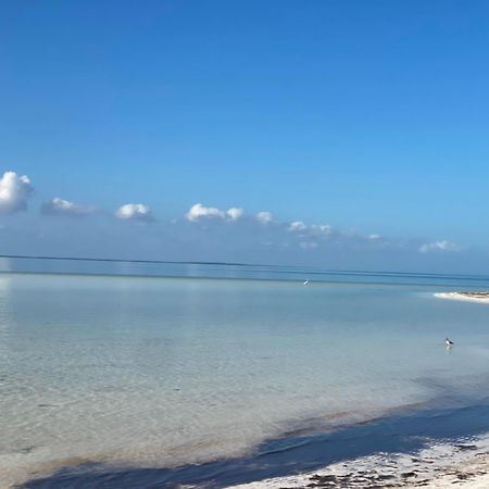 Barco Verde Hostel Isla Holbox Zewnętrze zdjęcie