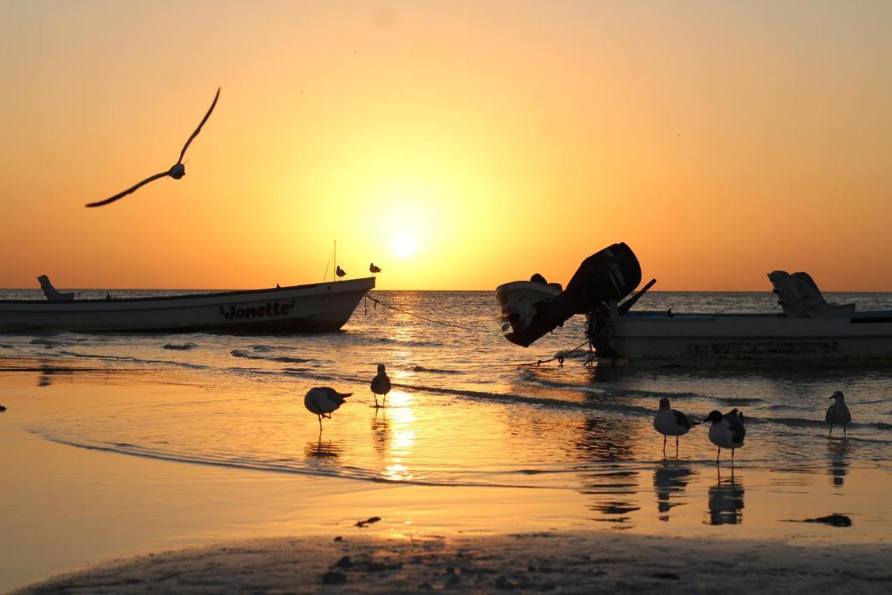 Barco Verde Hostel Isla Holbox Zewnętrze zdjęcie