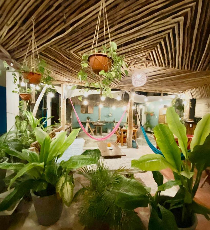 Barco Verde Hostel Isla Holbox Zewnętrze zdjęcie