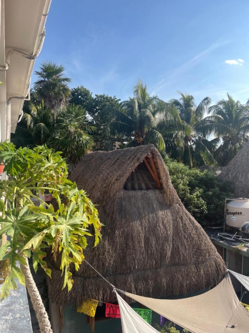 Barco Verde Hostel Isla Holbox Zewnętrze zdjęcie
