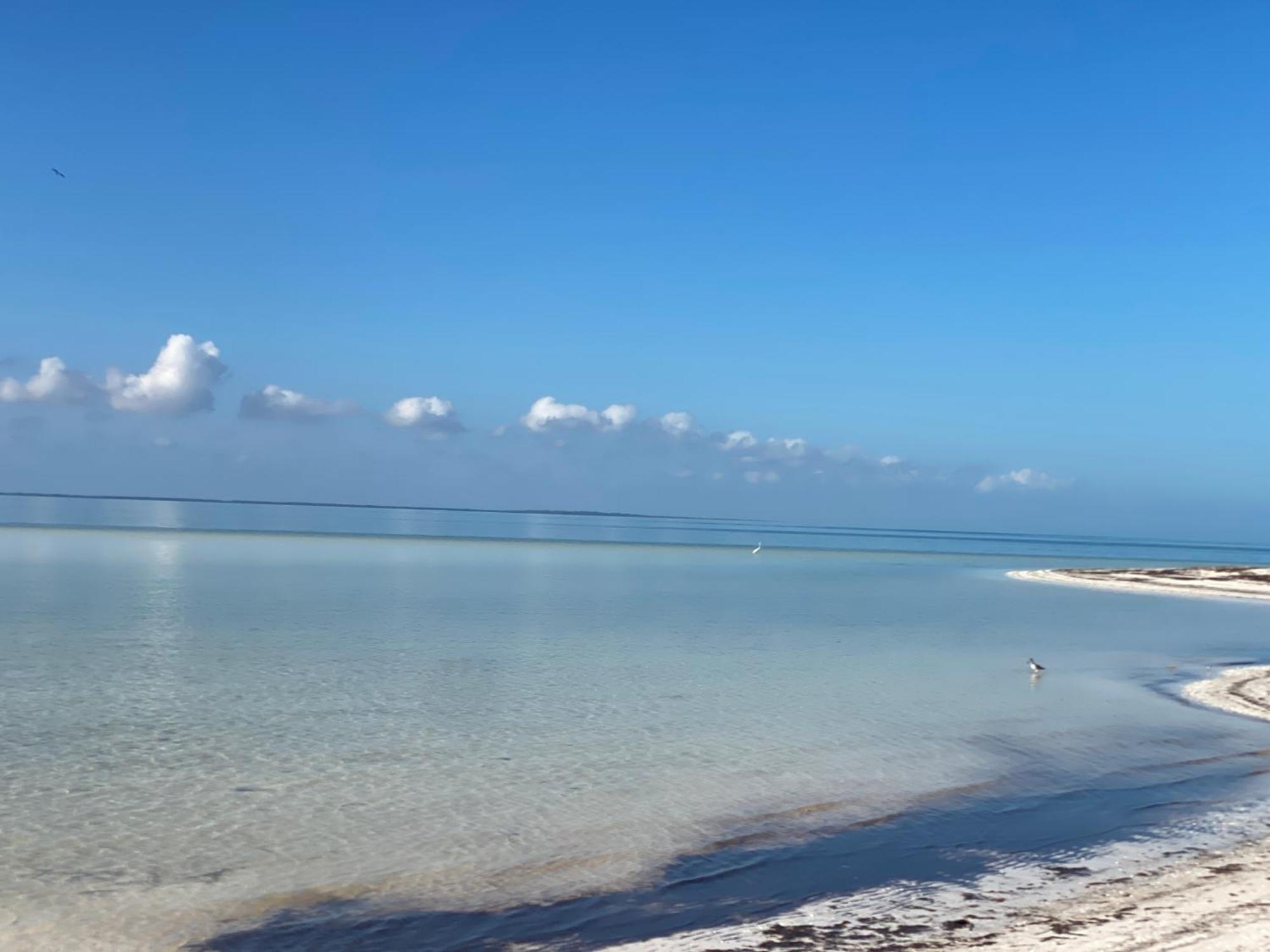 Barco Verde Hostel Isla Holbox Zewnętrze zdjęcie