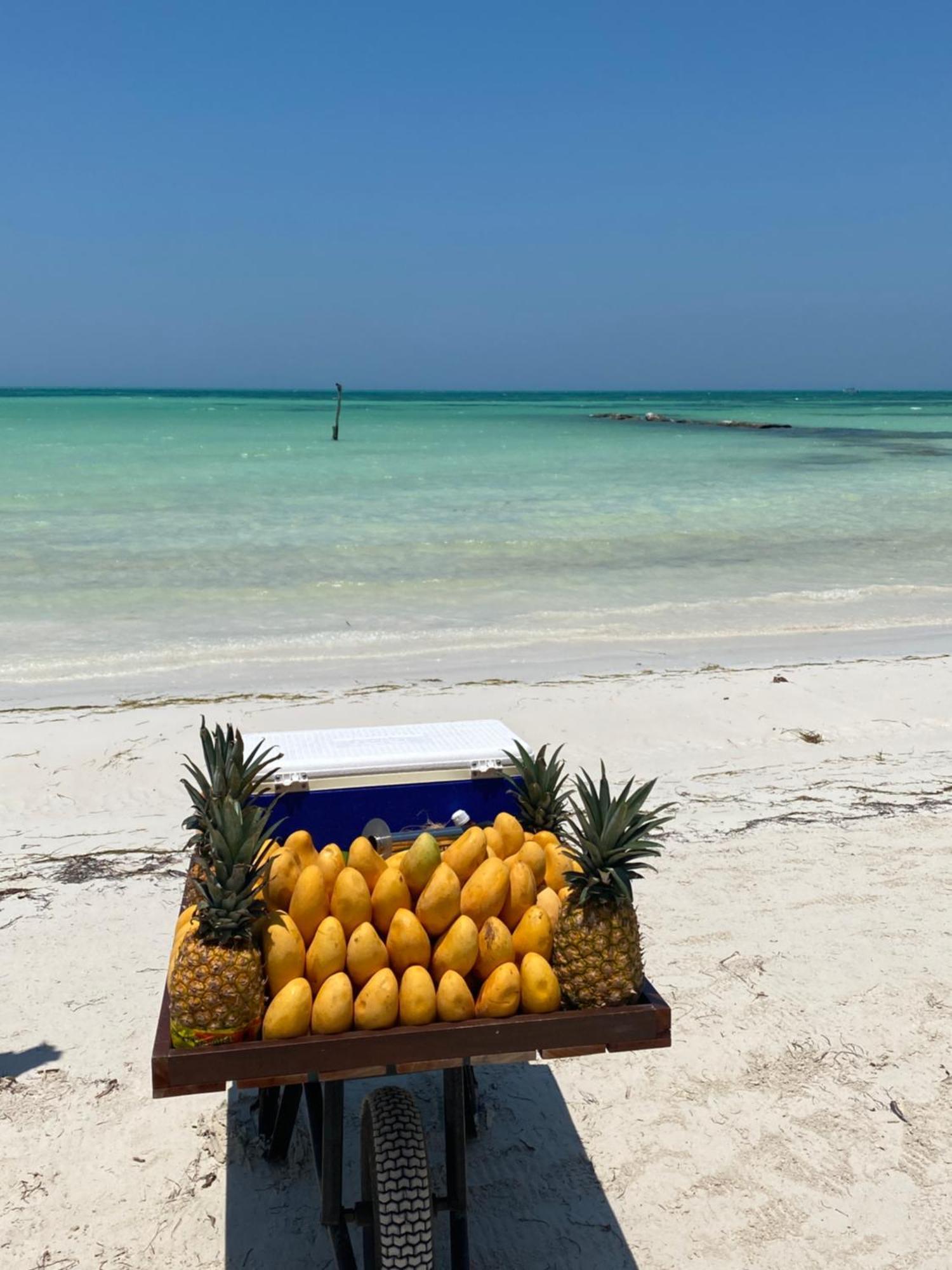 Barco Verde Hostel Isla Holbox Zewnętrze zdjęcie