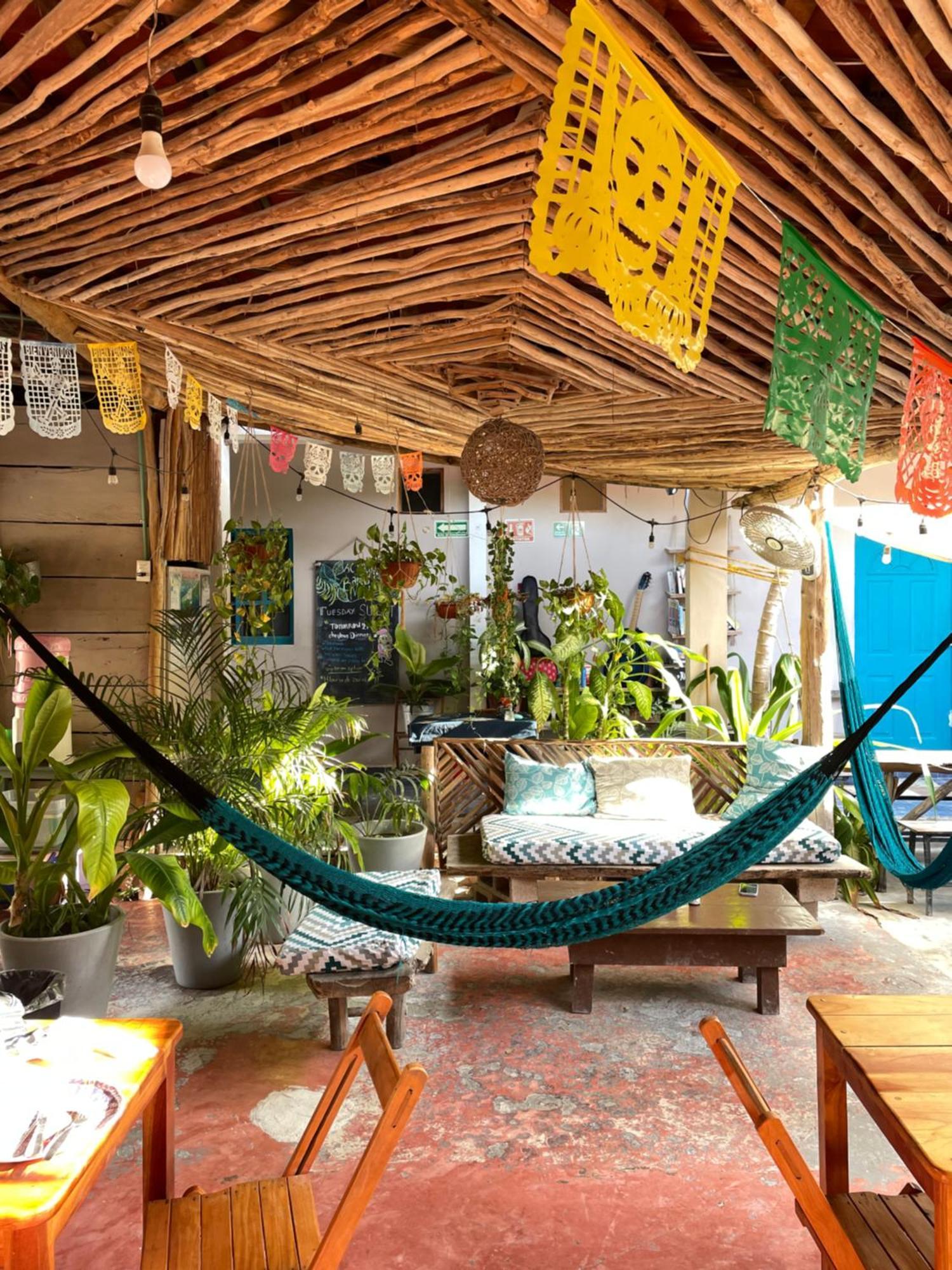 Barco Verde Hostel Isla Holbox Zewnętrze zdjęcie